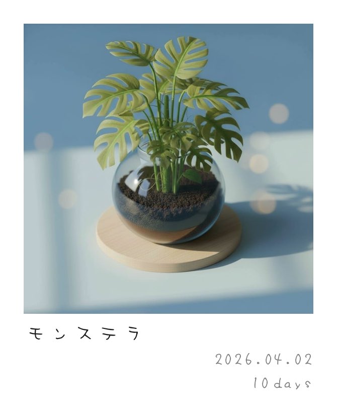 𝕊𝕐𝔸𝕆 tweet media