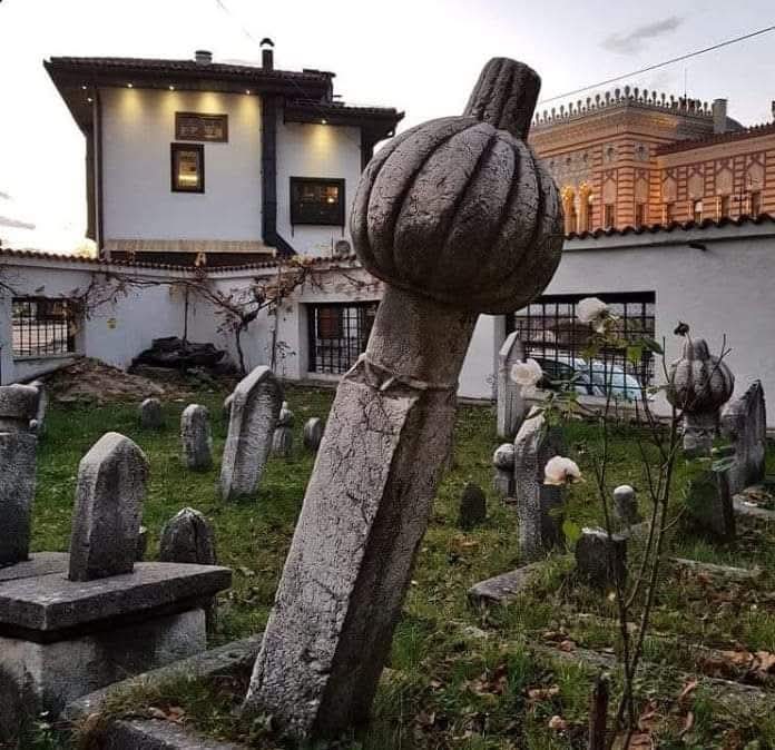 Nidayi Sevim tweet media