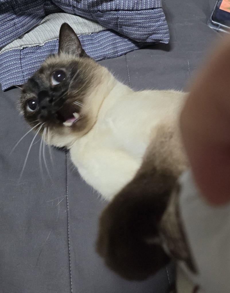 로로네 작업실 tweet media