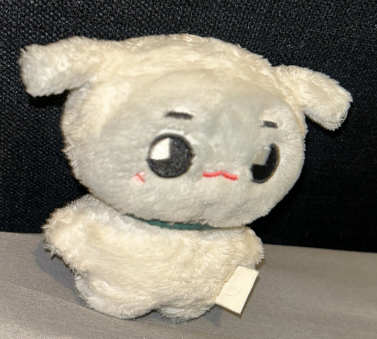 สีคูลโทน แบบดำอมฟ้า