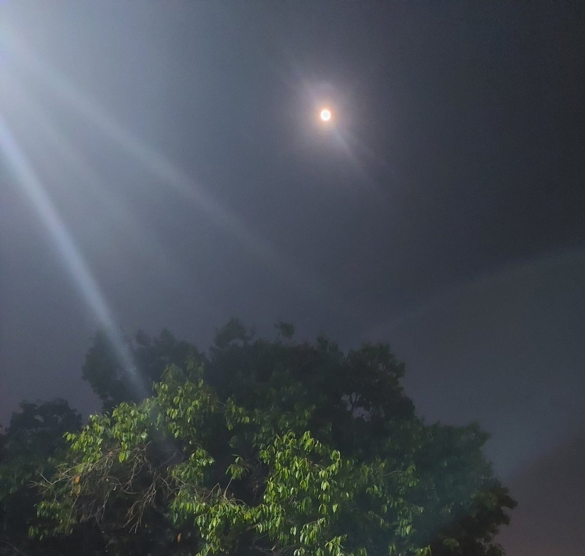 काव्यरस tweet media