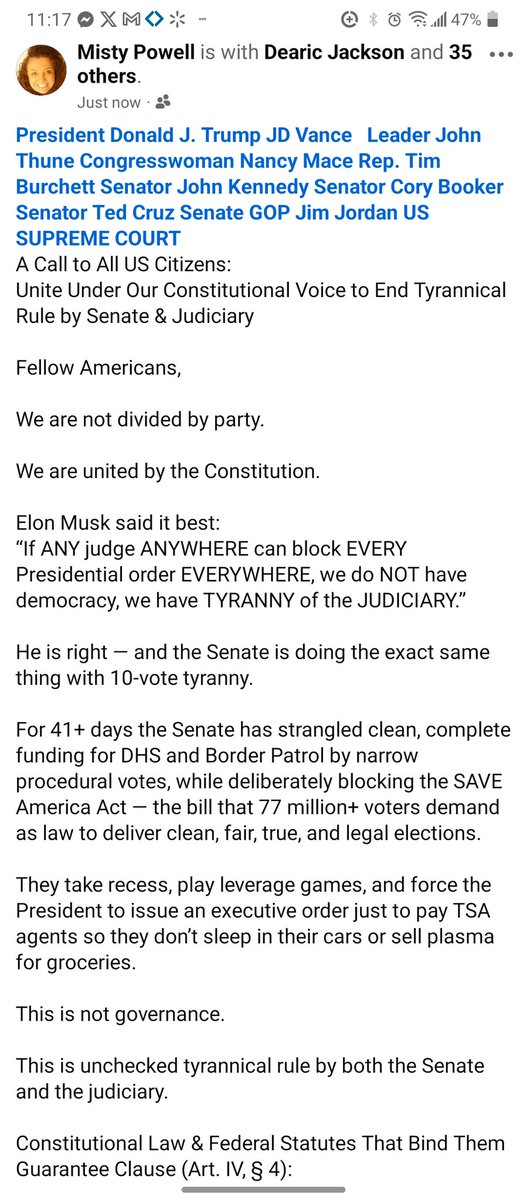 Misty Devenney 🦺🇺🇸 tweet media