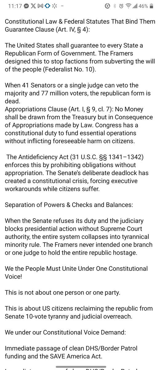 Misty Devenney 🦺🇺🇸 tweet media