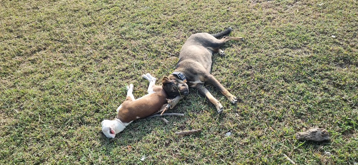 🌪DWN-010 Air Man🌪 tweet media