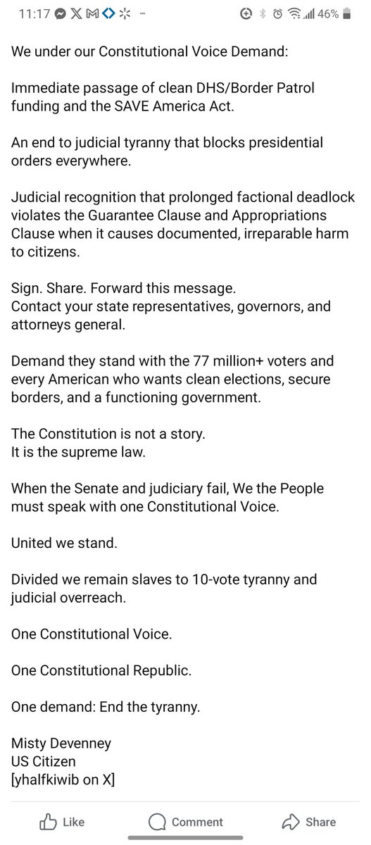 Misty Devenney 🦺🇺🇸 tweet media