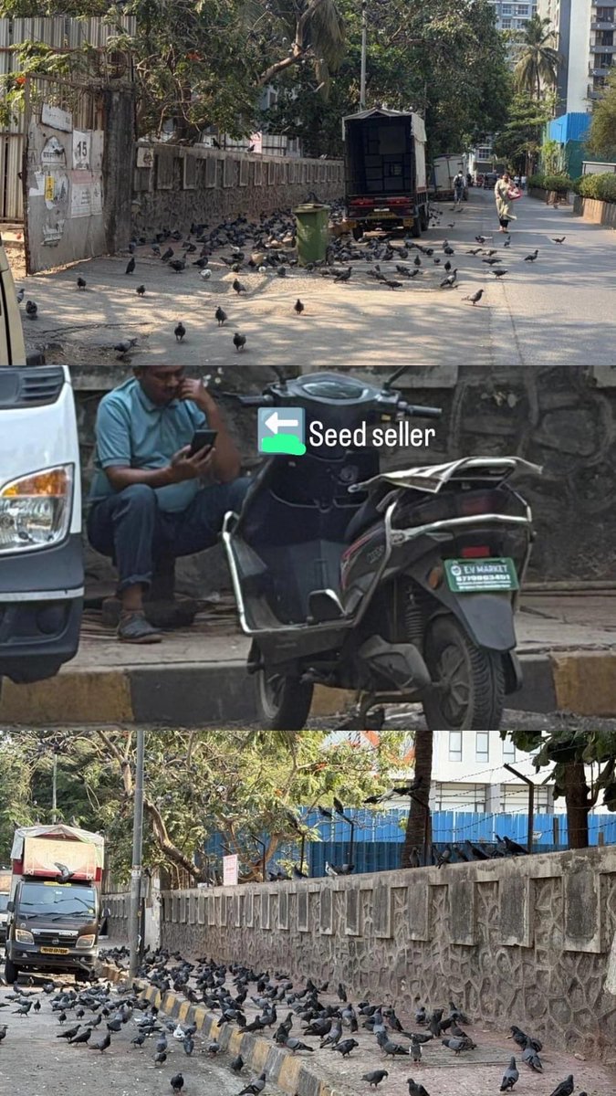 ronpujari96's tweet photo. Contempt of court 
 Despite multiple warnings, the seed seller continues illegal selling without fear. No action from authorities, and local complaints are being ignored. This is leading to unhygienic conditions, and risk of infections in the area. Immediate action is required. https://t.co/iSgKeD7Bl2