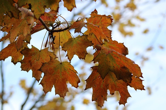 Drew Lombardi tweet media