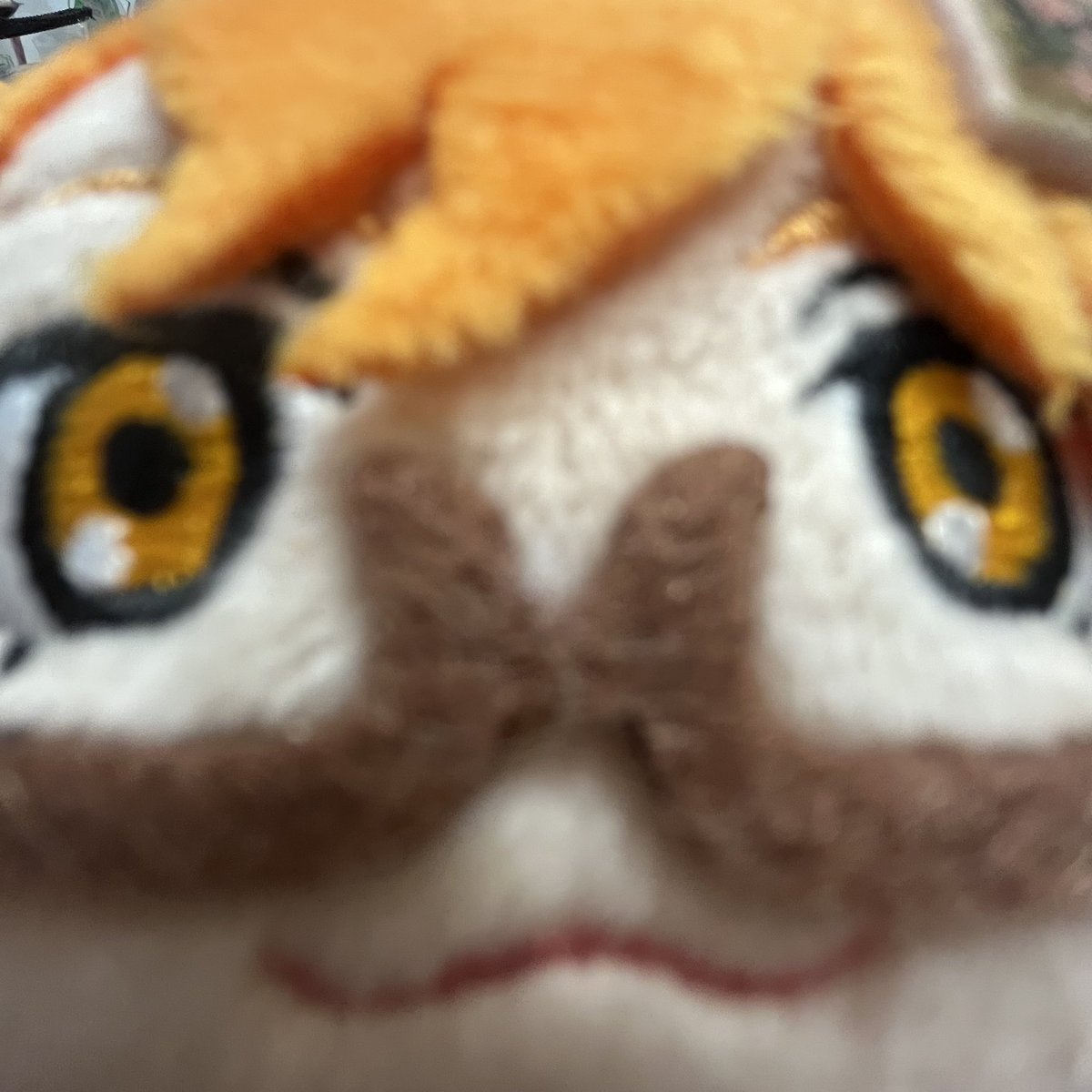 ねね✨️❤️ tweet media