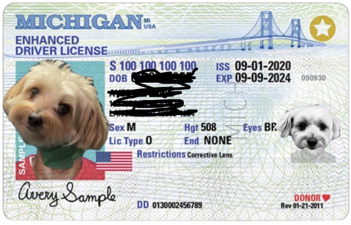 Ari Abella | Detroit tweet media