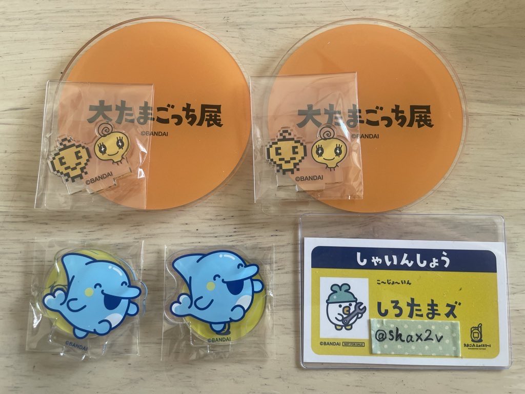 しゃしゃ tweet media