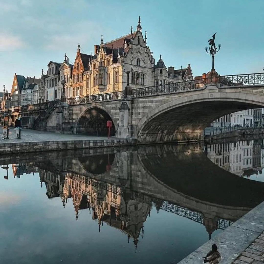 Beauty Explorer tweet media