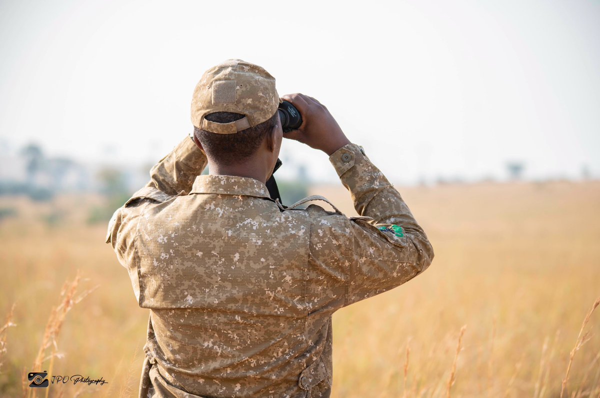 Jpo photography tweet media