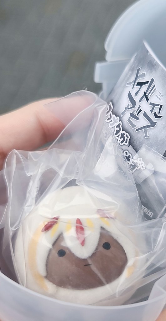 はむちゃん tweet media