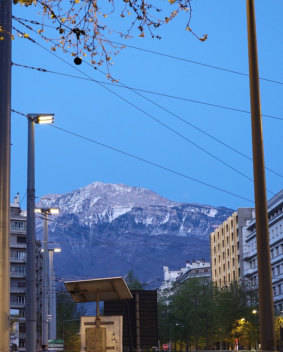 Dr Steven Quay tweet media