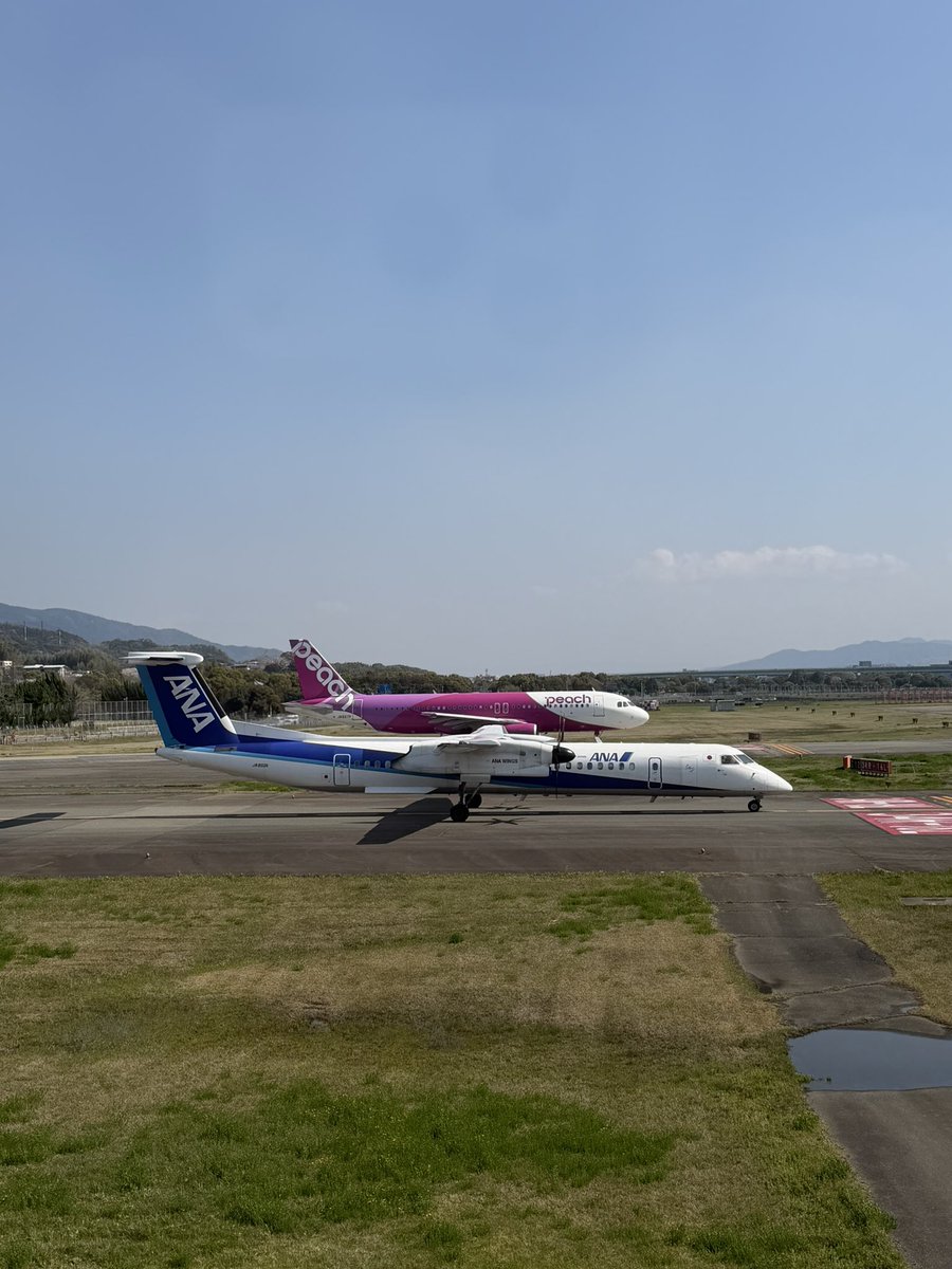 お空クン tweet media