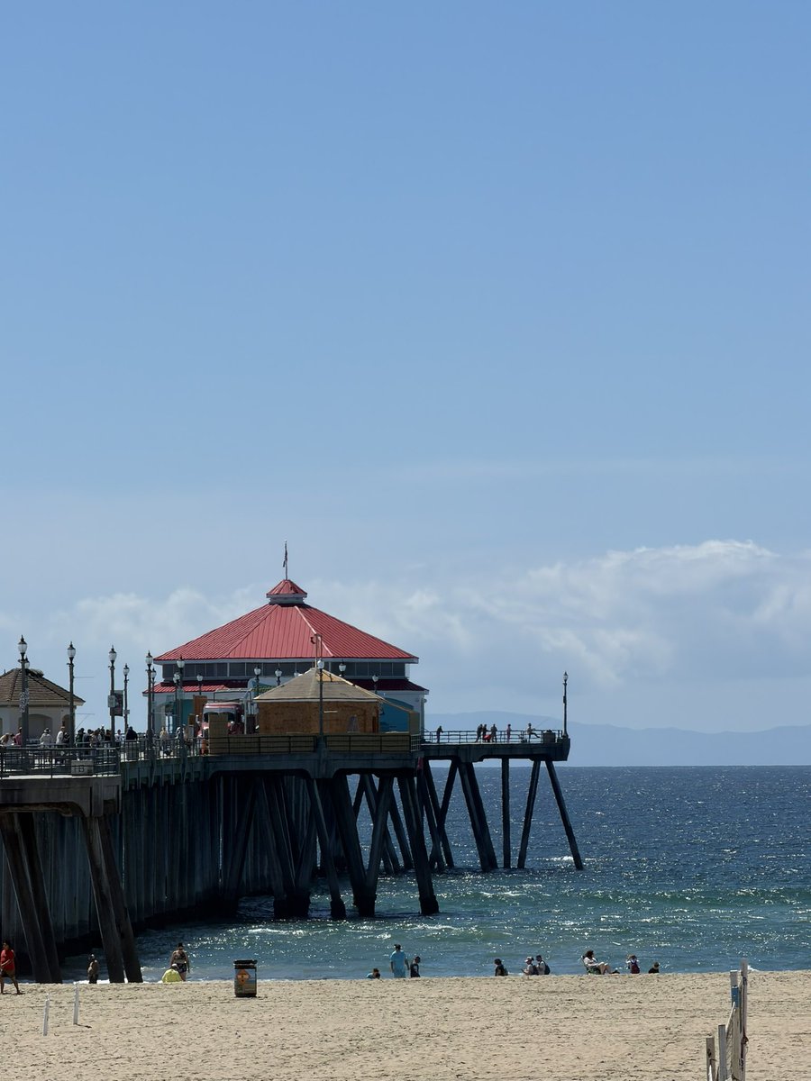 ImASurferDude tweet media