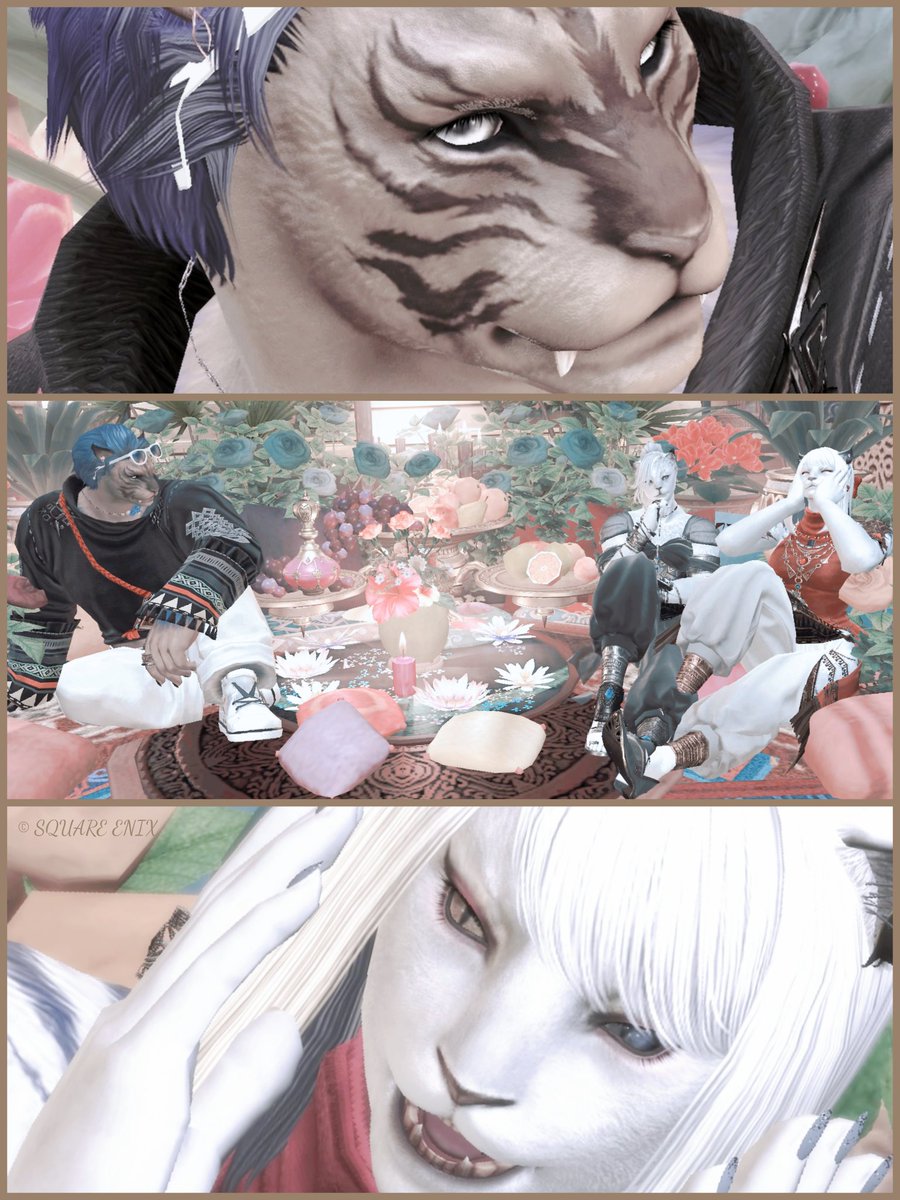 𝒇𝒓𝒐𝒛𝒆 tweet media