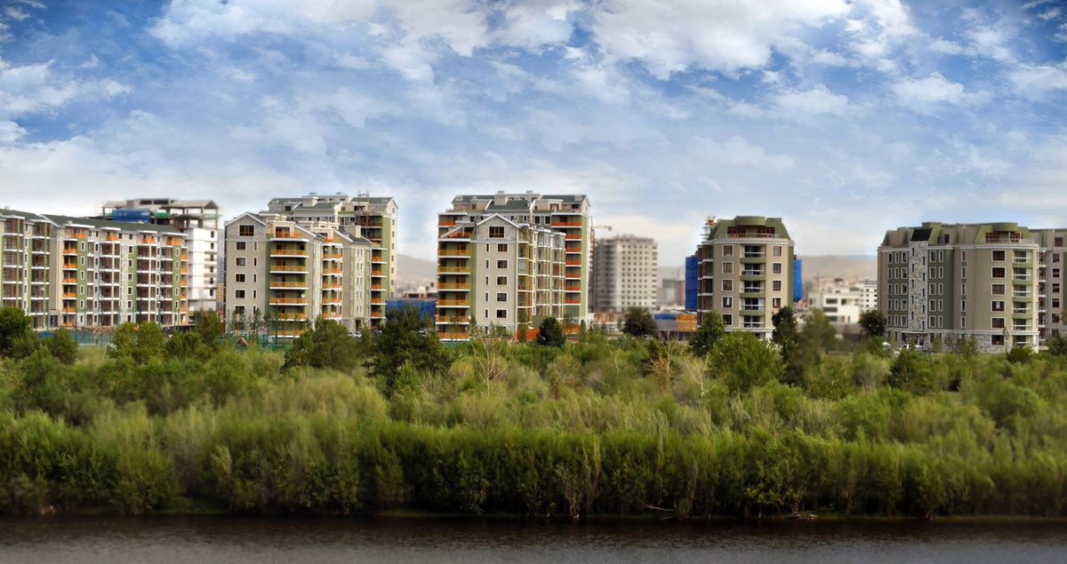 Баярсайхан Галигаа tweet media