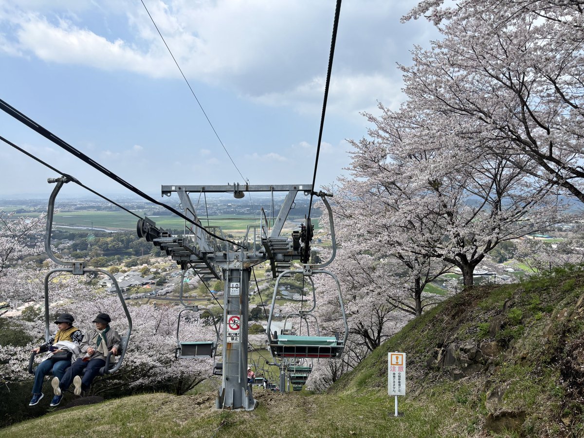 リフトに乗ってきたよ🌸