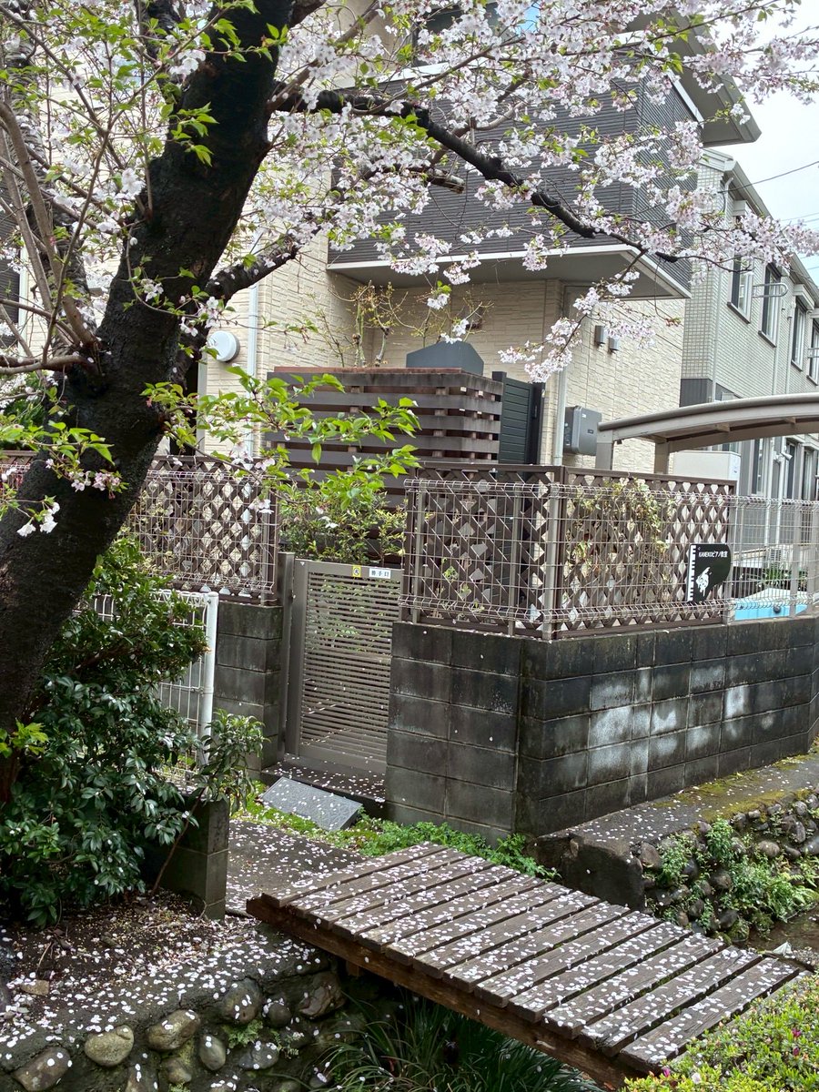 青彡月 tweet media