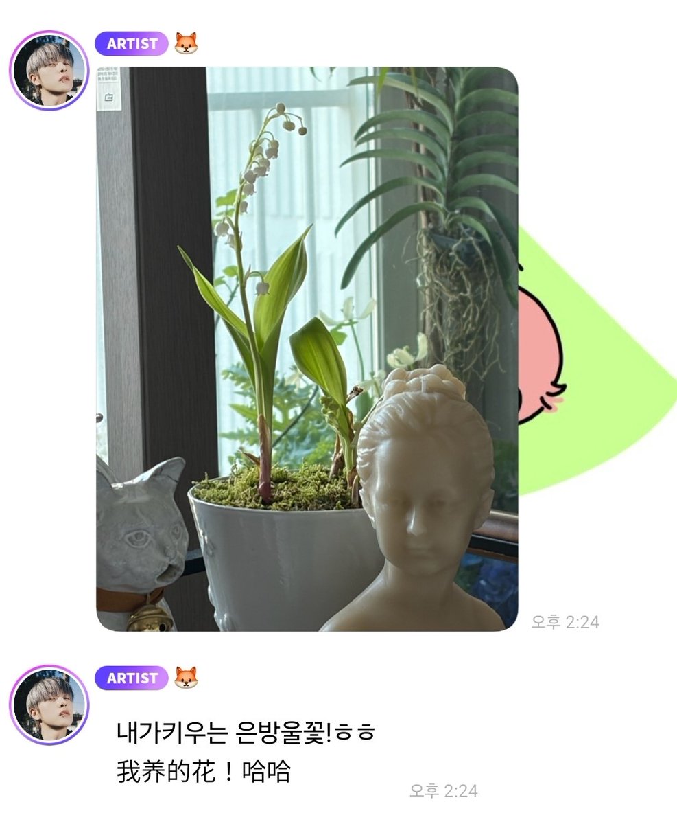 아보🥑 tweet media