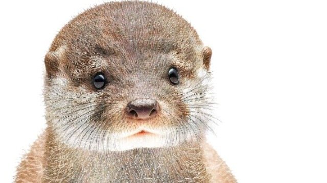 이선우 tweet media