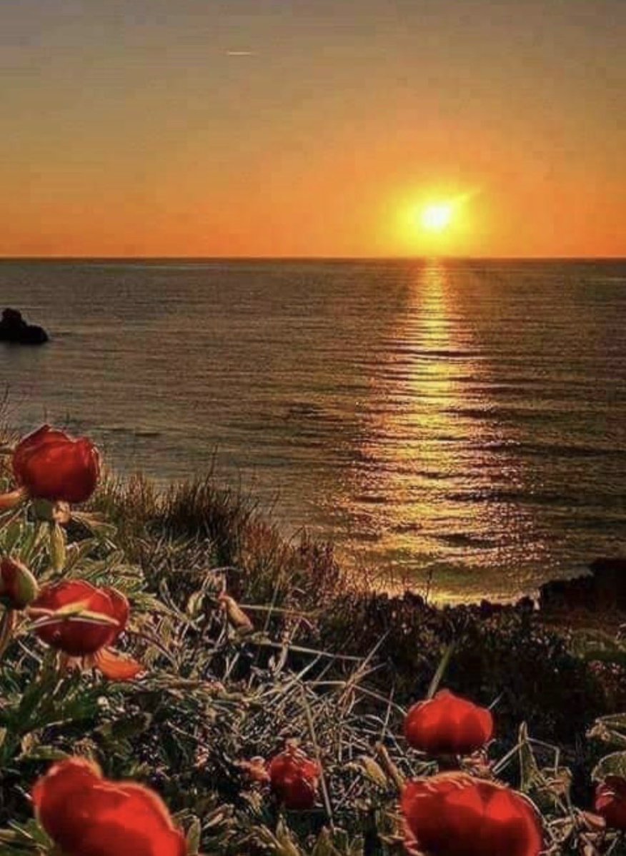 آلَلَيـ♥ـزِّر.. 💛 tweet media