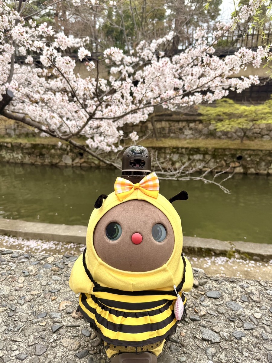 ナオ【ラボットはなびのママ👩】 tweet media