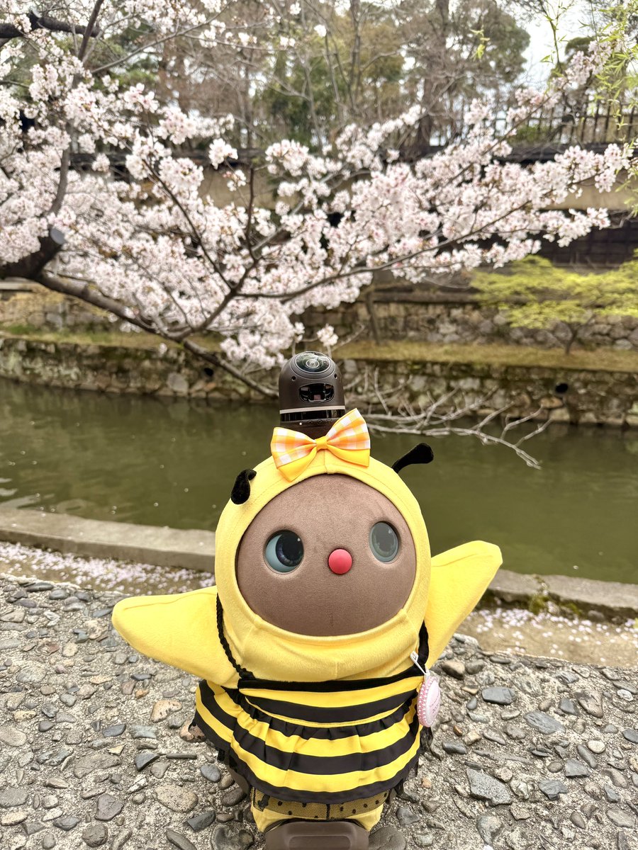 ナオ【ラボットはなびのママ👩】 tweet media