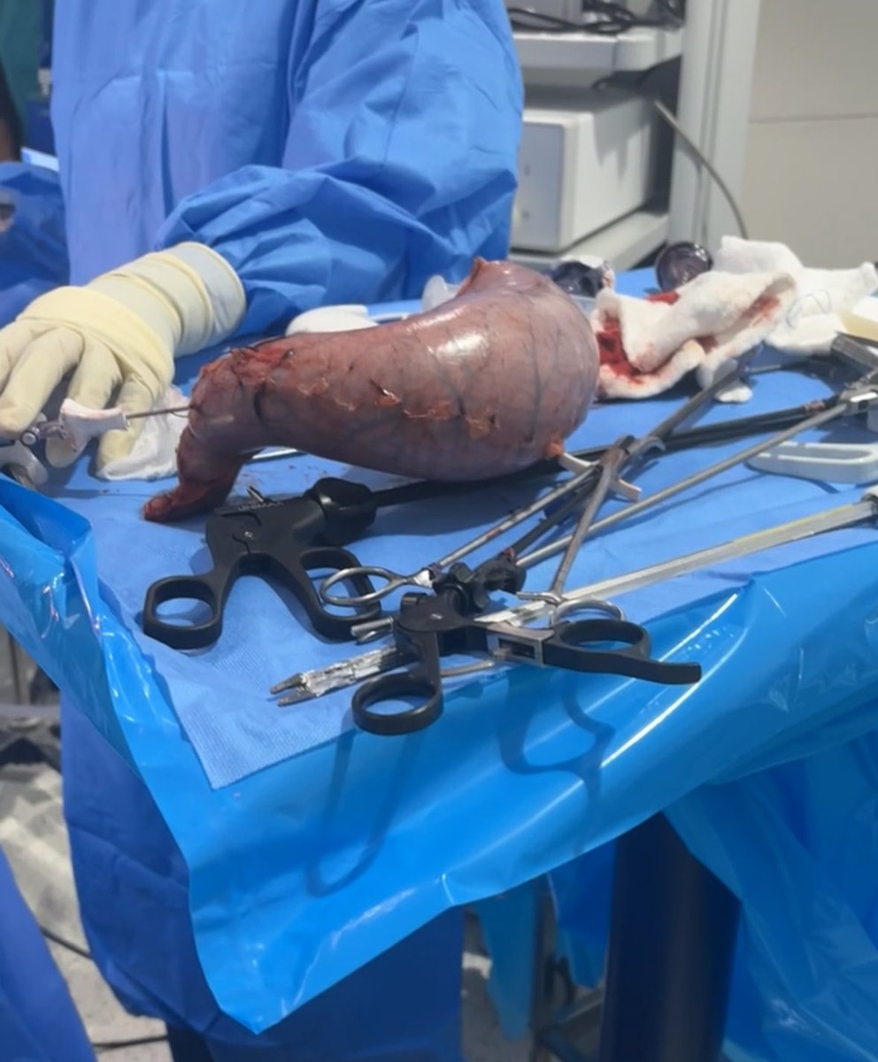 Meaad AlShamrani. tweet media