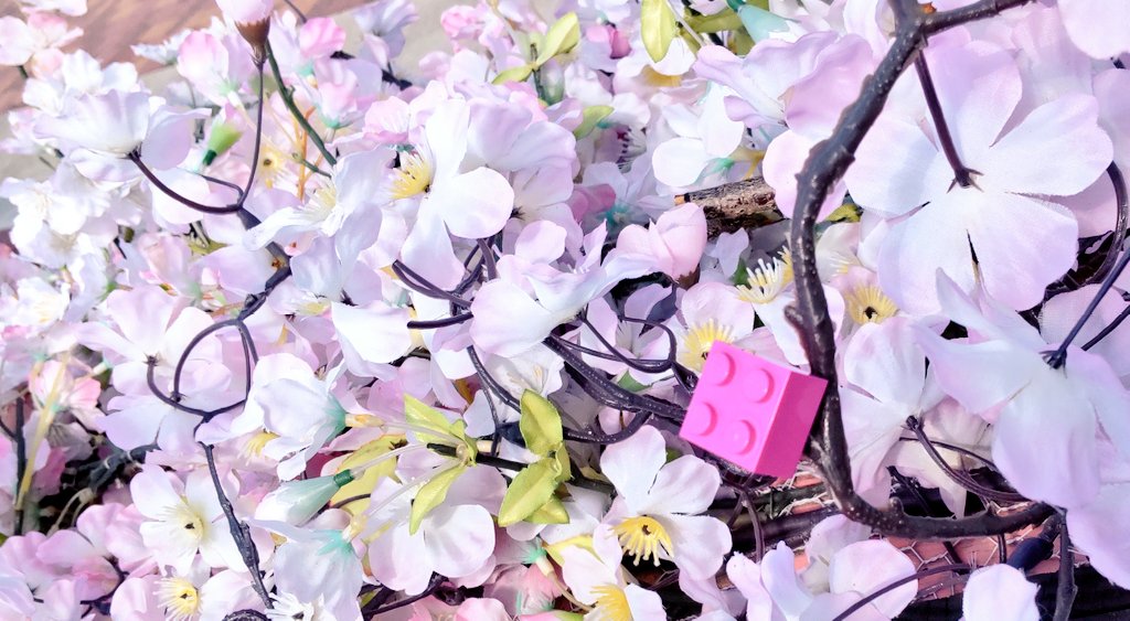 siru8881's tweet photo. レゴランド、桜🌸にもそっとレゴ🌸🌸🌸🌸🌸🌸🌸🌸🌸 https://t.co/eQRumsHbBl