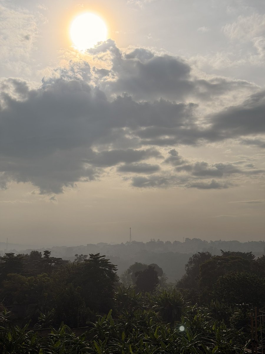 JAMIE🌻 tweet media