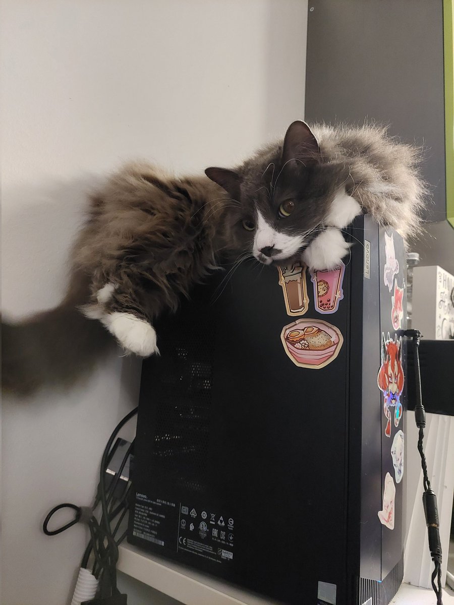 once again I wonder how that could possibly be comfortable