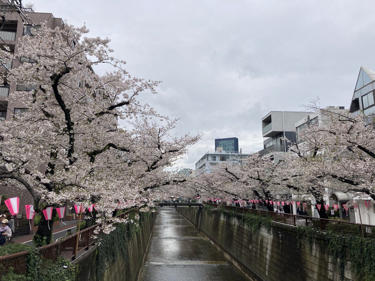 koro2🇹🇭勉強中 tweet media