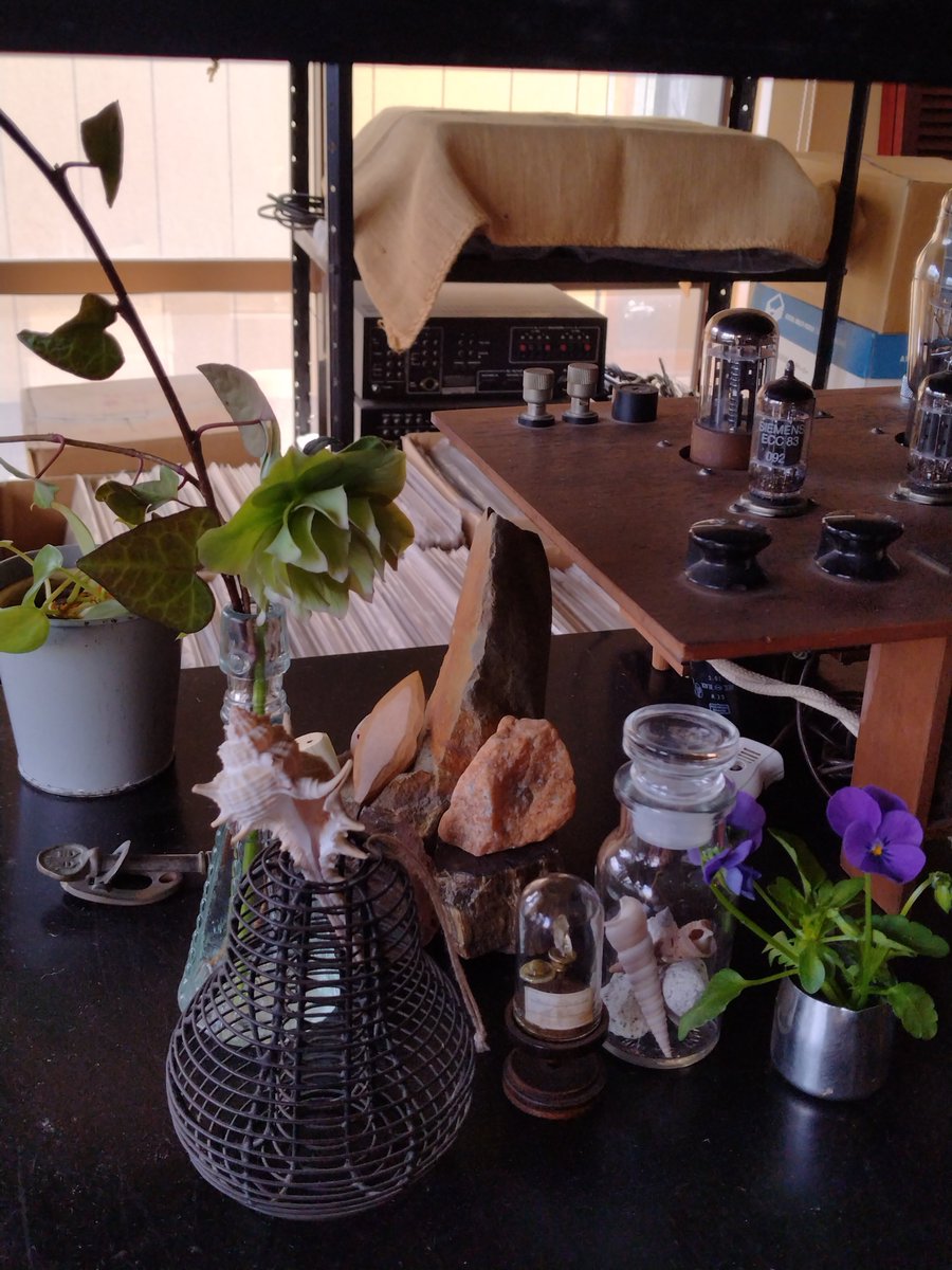 毎年春先から初夏にかけて、セピア色の店内に青や紫 、薄緑の植物たちをどうやって合わせて飾ろうかと悩みます。