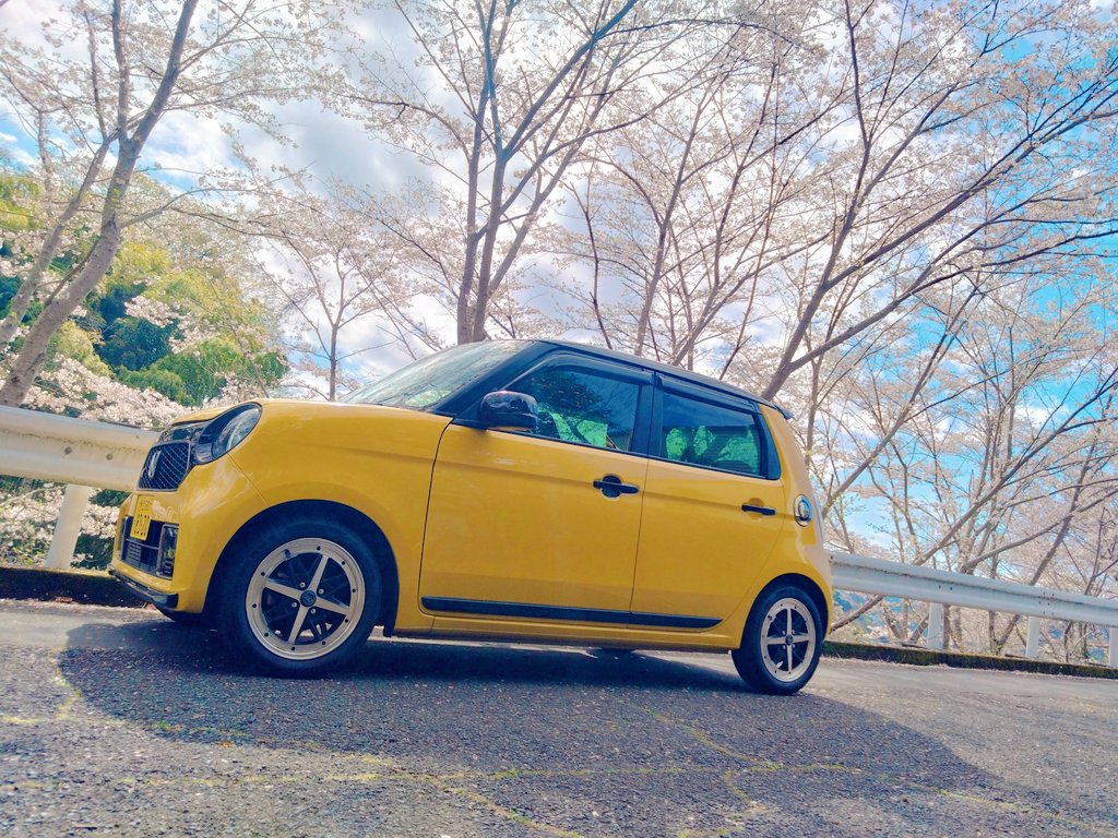 ミウ🏴‍☠️ tweet media