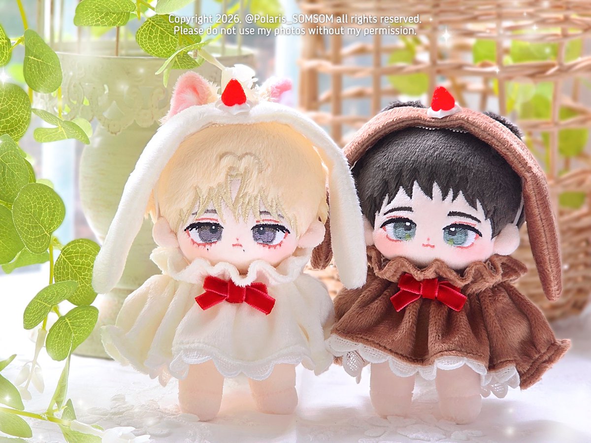 Polaris🧸 tweet media