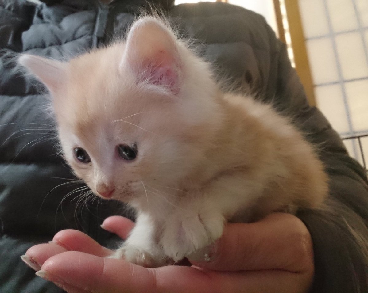 hiro⭐︎ひろろ tweet media