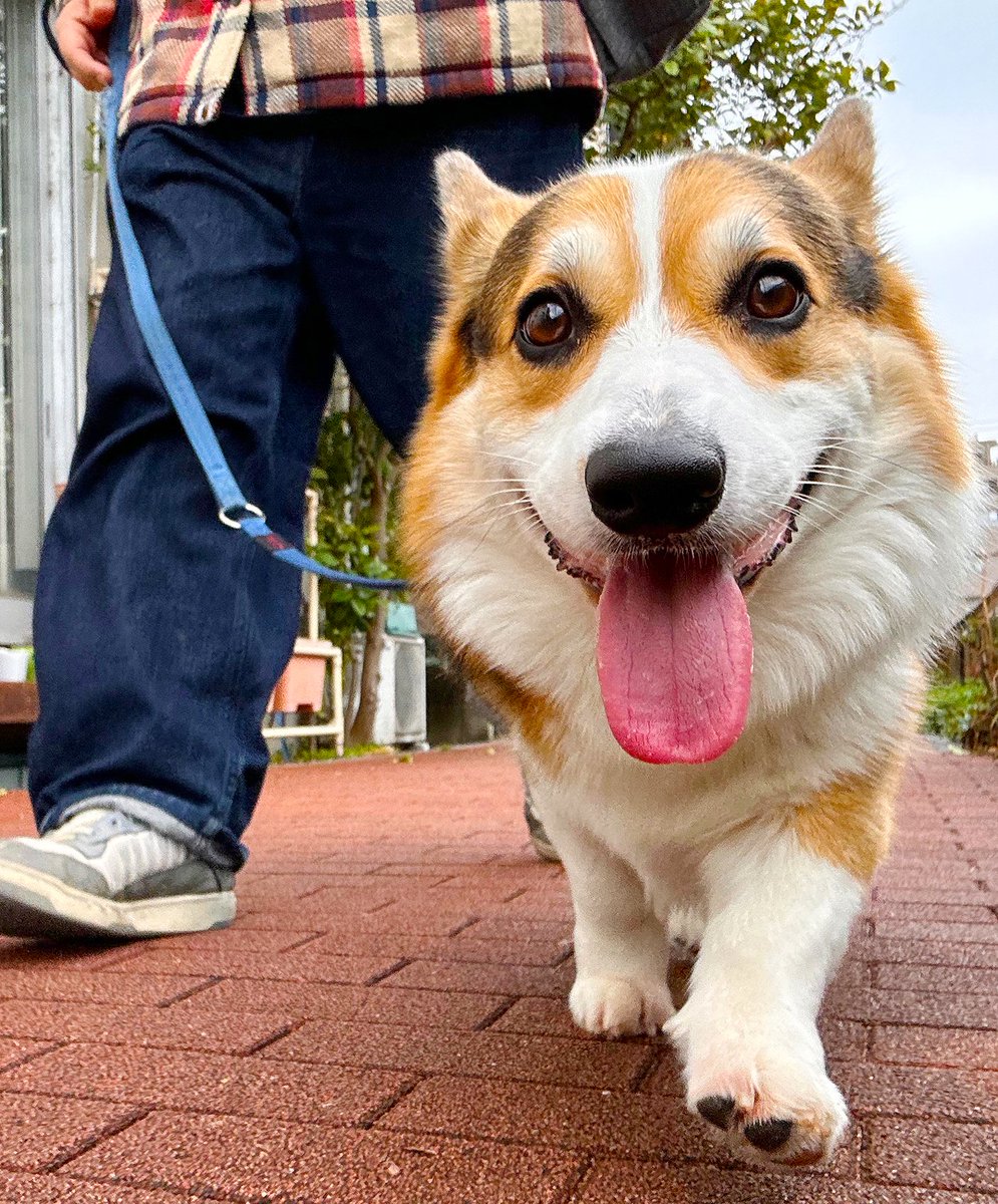 やなぎ tweet media