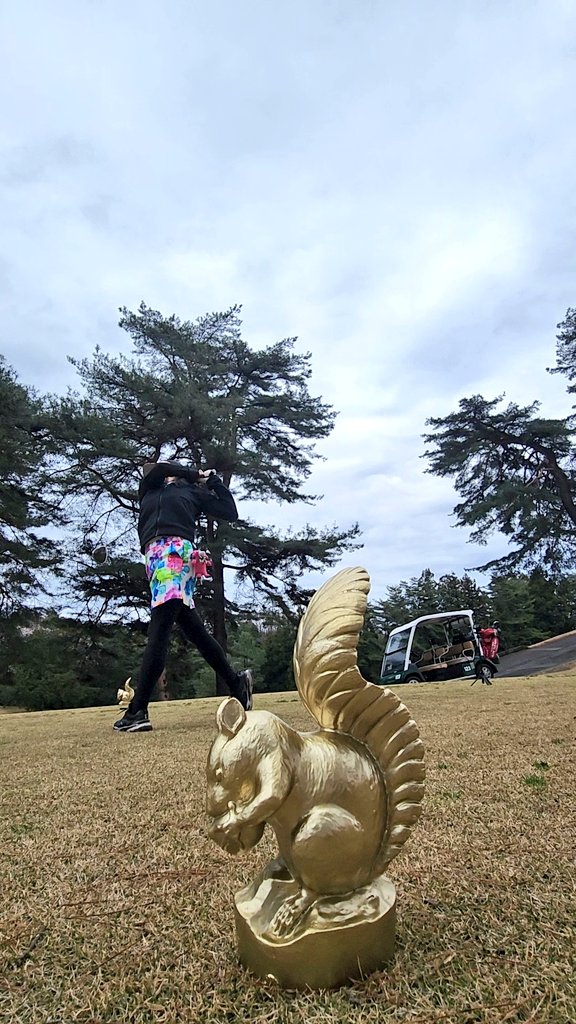 ミコ★miko★ゴルフ⛳ tweet media