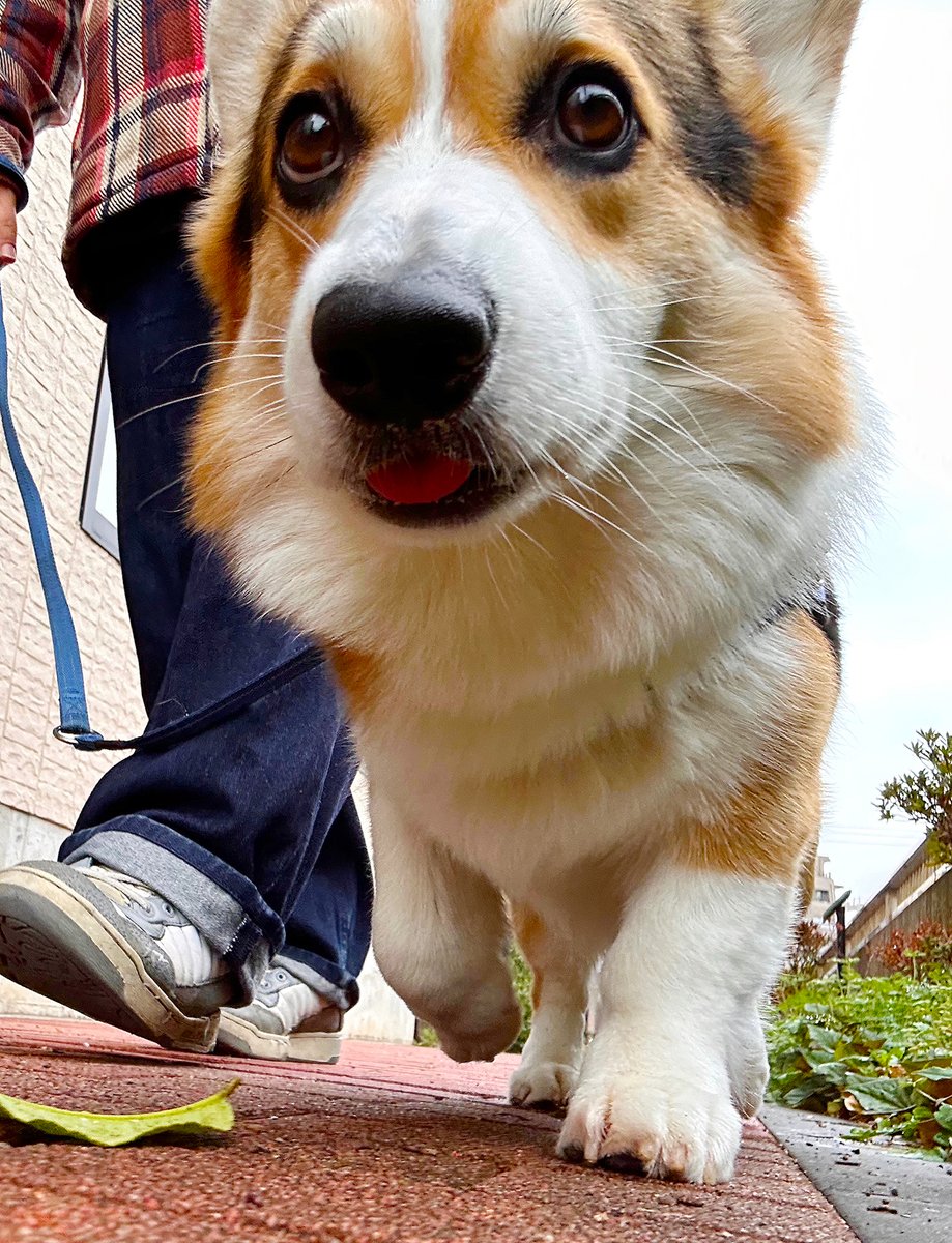 やなぎ tweet media