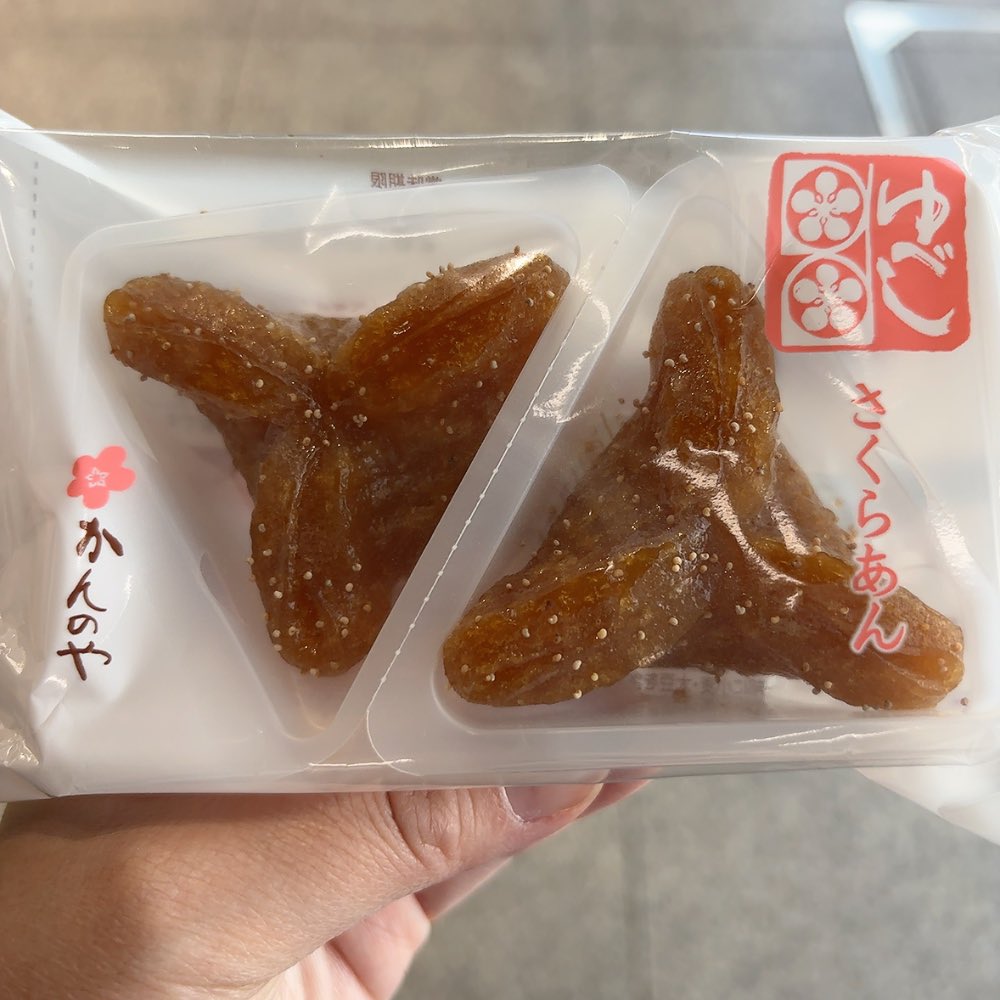 ひくちこ tweet media