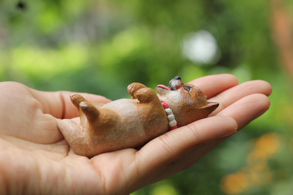 somecloud.carver tweet media