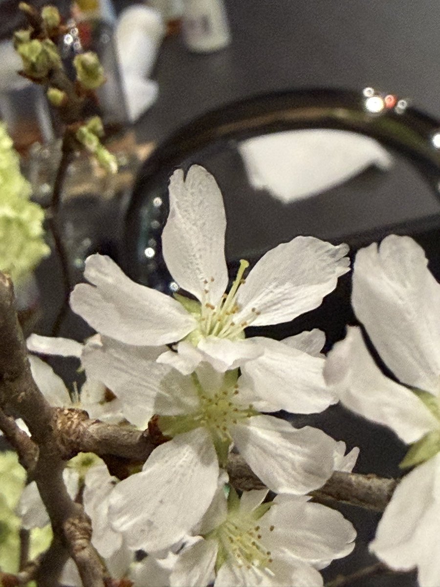 ꧁ぷれこ꧂꧁Marathon꧂ tweet media