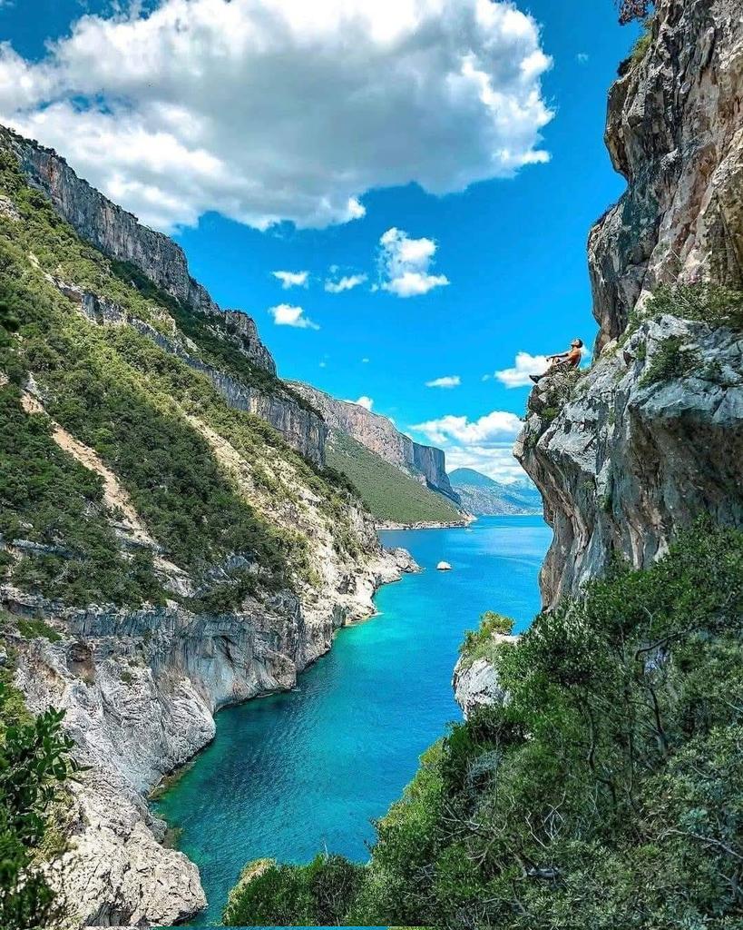 Tranquillo tweet media