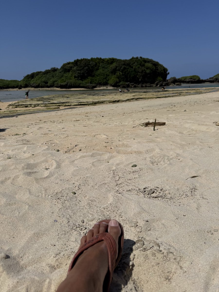 電光石火R 02 tweet media