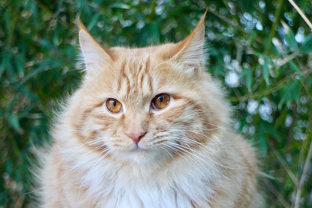 Tonya Todd tweet media