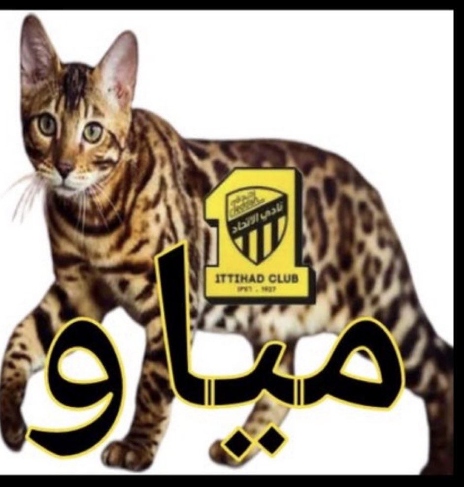 ma556689's tweet photo. يا خدمي 

            ي رخمه  ي جزمة

كل تراب 

مياو 🐈‍⬛ 
🐈‍⬛🐈‍⬛🐈‍⬛🐈‍⬛🐈‍⬛🐈‍⬛🐈‍⬛🐈‍⬛🐈‍⬛ https://t.co/sjSy6raSgO