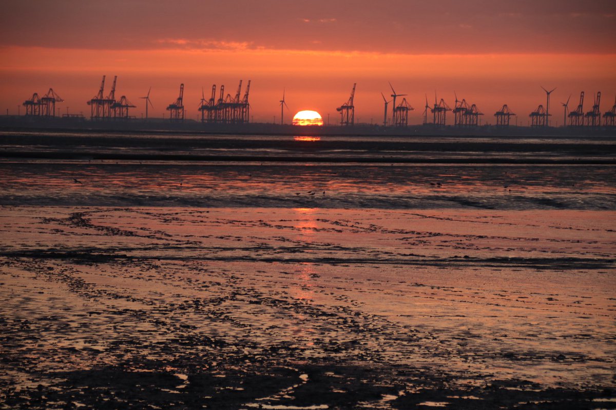 Kaffeegespenst ☕️☕️ tweet media