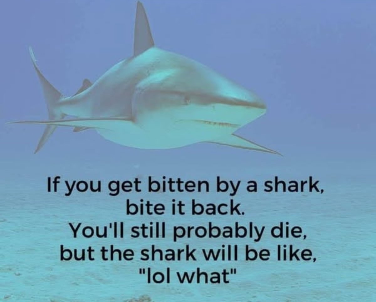 Out of Context Human Race tweet media